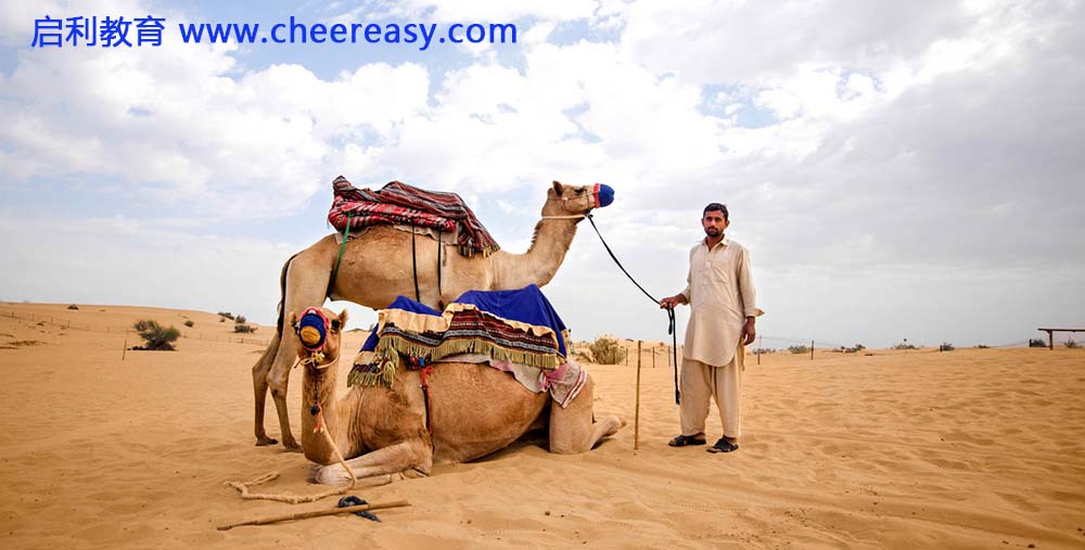 dubai-desert-conservation-reserve-1500x850__4_1.jpg